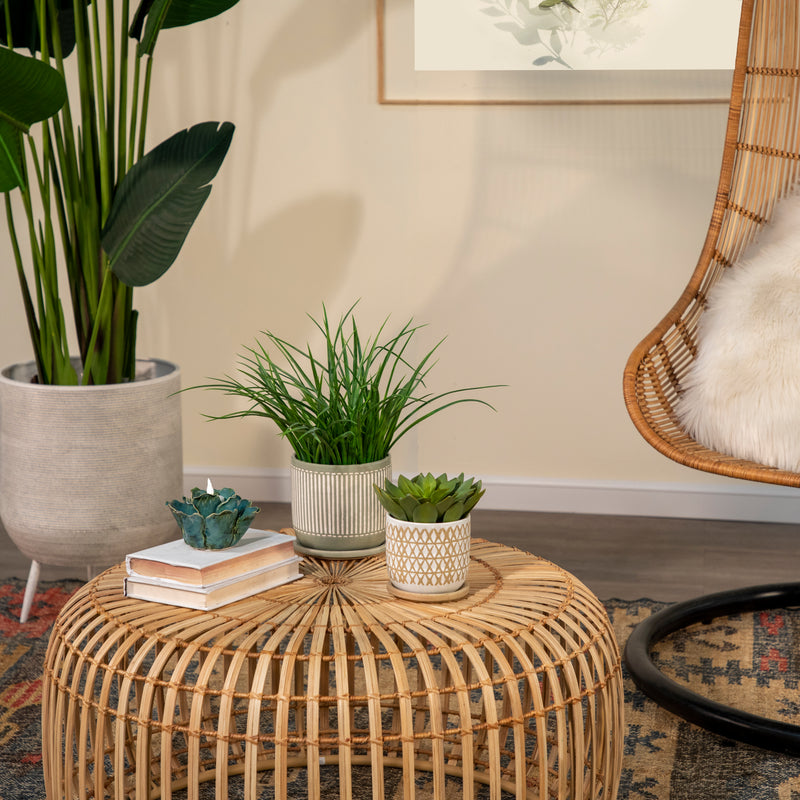 5 inch planter with saucer Ceramic 5