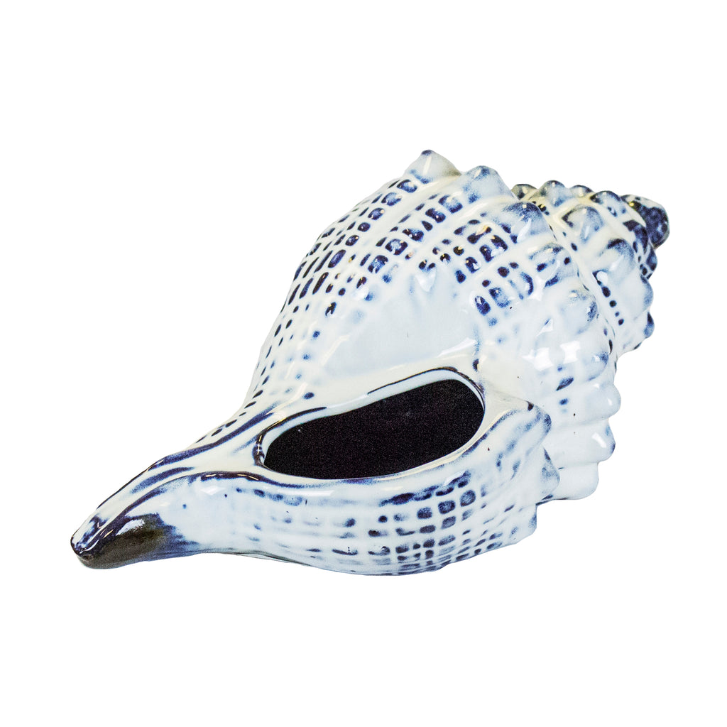 Blue Ceramic Seashell, Whelk - ReeceFurniture.com