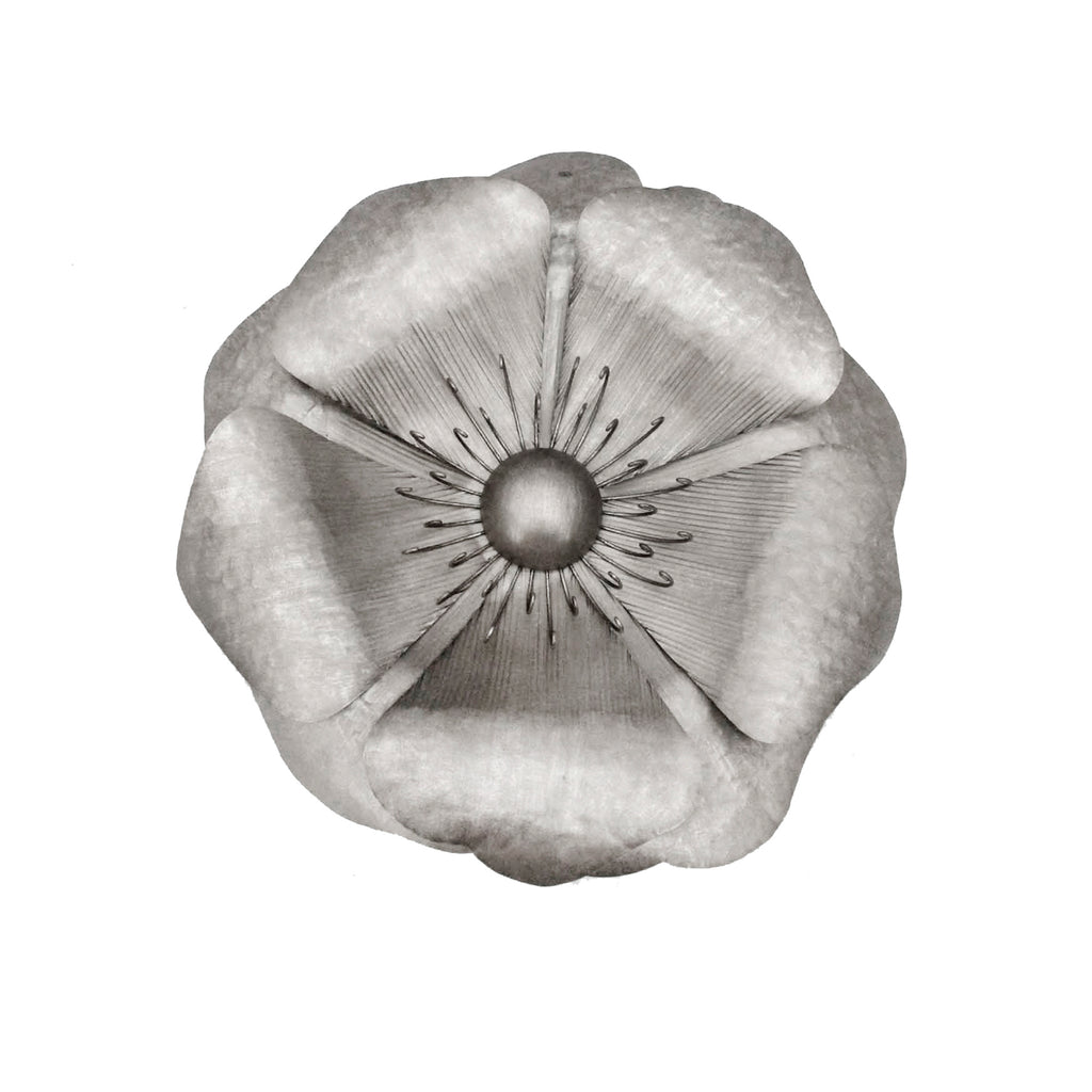 Silver Metal Poppy Wall Flower,  25.5", Window Box - ReeceFurniture.com