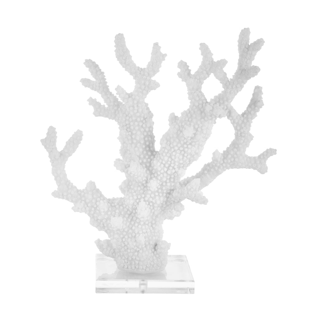 White Coral On Acrylic Base 13" - ReeceFurniture.com