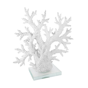 White Coral On Acrylic Base 21.75" - ReeceFurniture.com