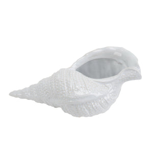 White Ceramic Shell - ReeceFurniture.com