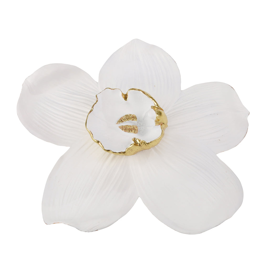 Resin 22" Orchid Wall Hanger,White - ReeceFurniture.com