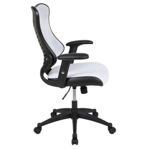 BL-ZP-806 Office Chairs - ReeceFurniture.com