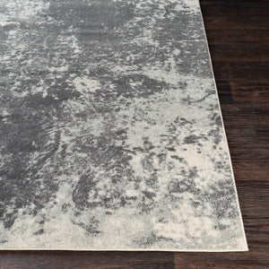 Abe-8013 - Aberdine - Rugs - ReeceFurniture.com