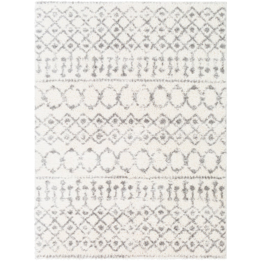 Alh-2302 - Aliyah Shag - Rugs