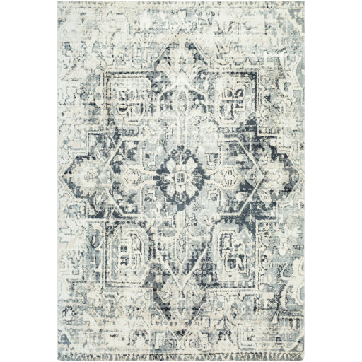 Apy-1015 - Apricity - Rugs - ReeceFurniture.com