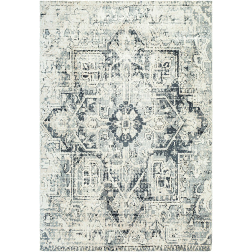 Apy-1015 - Apricity - Rugs