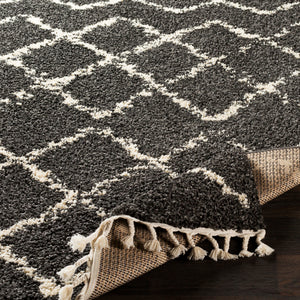 Bbe-2307 - Berber Shag - Rugs - ReeceFurniture.com