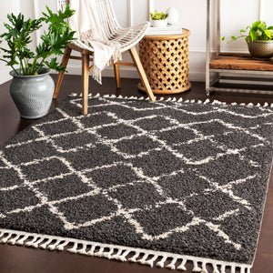 Bbe-2307 - Berber Shag - Rugs - ReeceFurniture.com