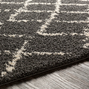 Bbe-2307 - Berber Shag - Rugs - ReeceFurniture.com