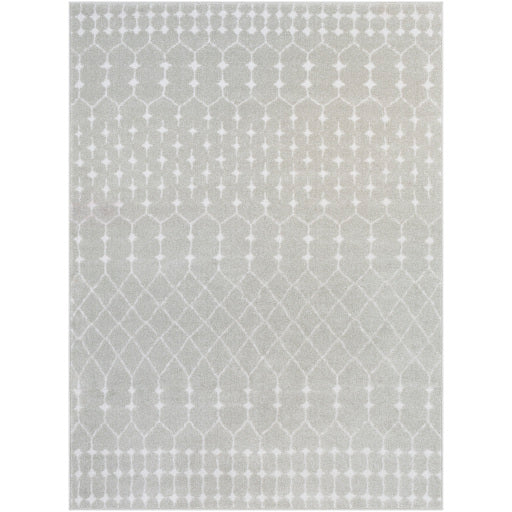 Bhr-2313 - Bahar - Rugs - ReeceFurniture.com