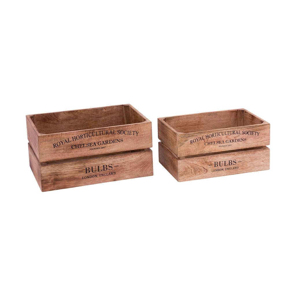 BOX002 - English Bulbs Boxes (Set of 2) - ReeceFurniture.com