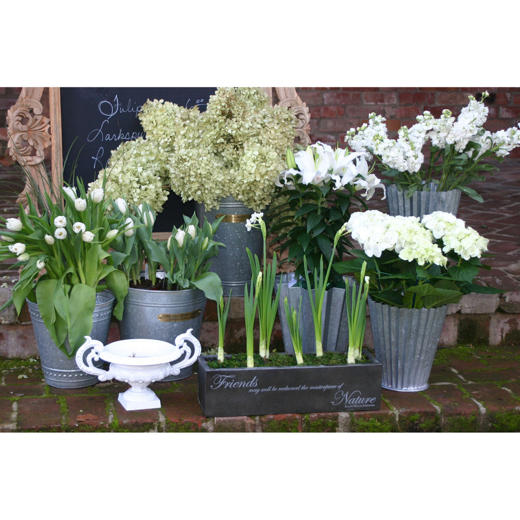 BUCK009 - French Pleat Flower Bucket - Short - ReeceFurniture.com