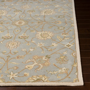 Cae-1121 - Caesar - Rugs - ReeceFurniture.com