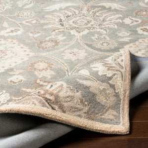 Cae-1195 - Caesar - Rugs - ReeceFurniture.com