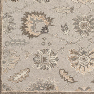 Cae-1198 - Caesar - Rugs - ReeceFurniture.com