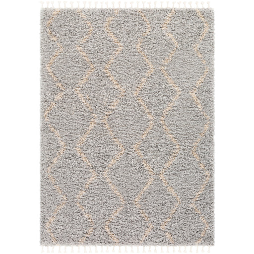 Caf-2303 - California Shag - Rugs - ReeceFurniture.com