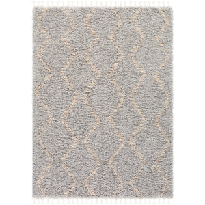 Caf-2303 - California Shag - Rugs - ReeceFurniture.com