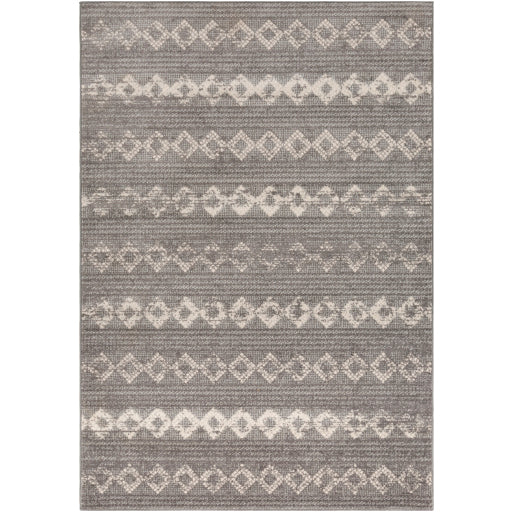 Che-2307 - Chester - Rugs