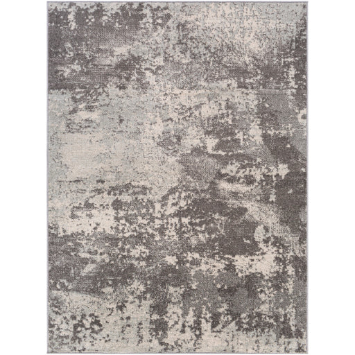 Che-2347 - Chester - Rugs