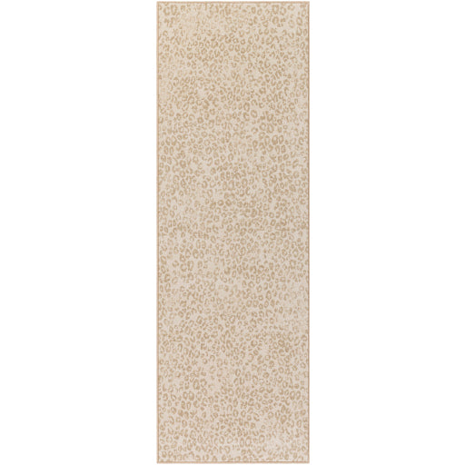 Cpo-3849 - Contempo - Rugs - ReeceFurniture.com