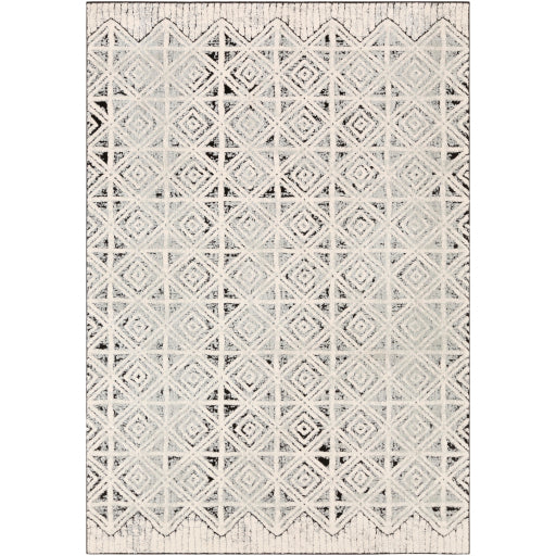 Dsm-2305 - Dersim - Rugs - ReeceFurniture.com