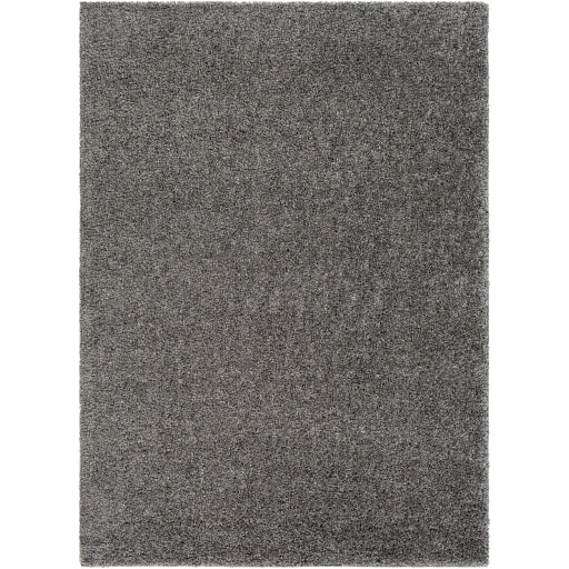 Dxs-2303 - Deluxe Shag - Rugs - ReeceFurniture.com