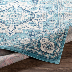 Fsa-2319 - Floransa - Rugs - ReeceFurniture.com