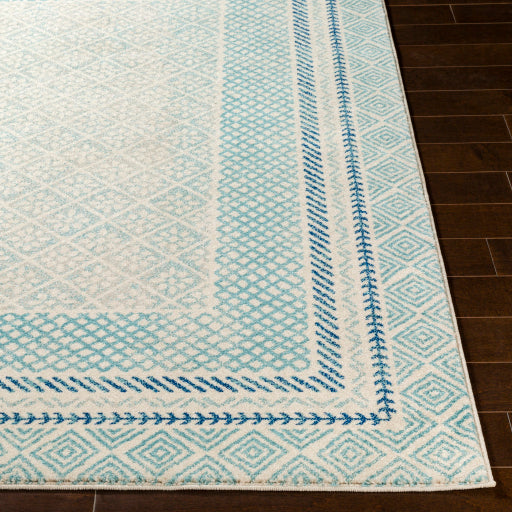 Hap-1098 - Harput - Rugs– ReeceFurniture.com