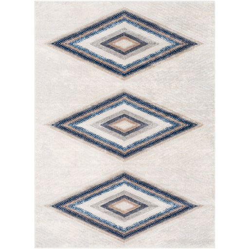 Rmy-2302 - Remy - Rugs - ReeceFurniture.com