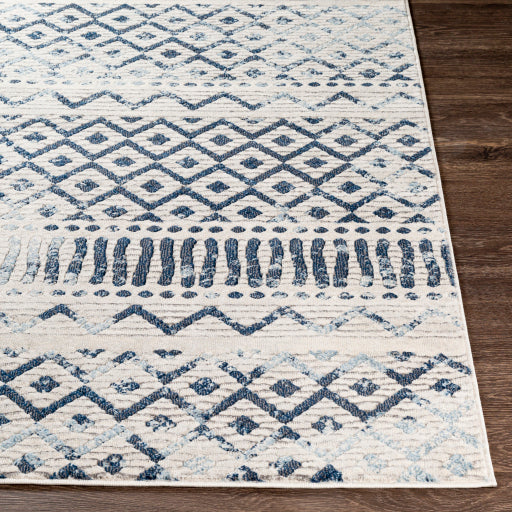 Rmy-2306 - Remy - Rugs– ReeceFurniture.com