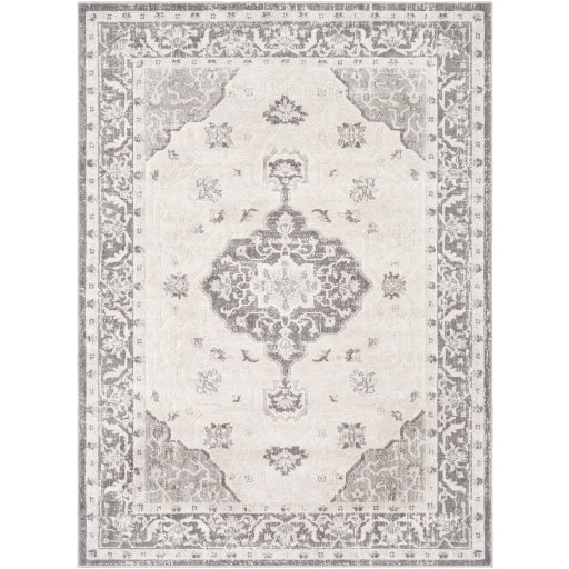 Rmy-2321 - Remy - Rugs - ReeceFurniture.com