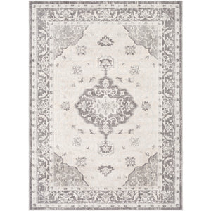 Rmy-2321 - Remy - Rugs - ReeceFurniture.com