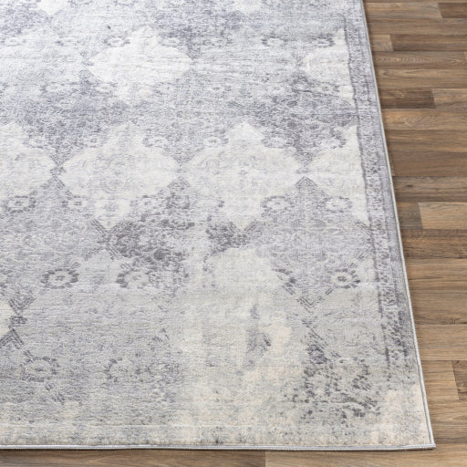 Rom-2316 - Roma - Rugs– ReeceFurniture.com