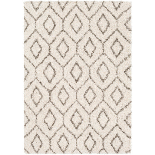 Sgt-2302 - Serengeti Shag - Rugs - ReeceFurniture.com
