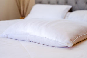 Cozy Earth - Organic Silk Pillow, Bedding, Cozy Earth, - ReeceFurniture.com - Free Local Pick Ups: Frankenmuth, MI, Indianapolis, IN, Chicago Ridge, IL, and Detroit, MI