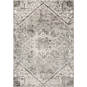 Soi-2311 - Soleil - Rugs - ReeceFurniture.com
