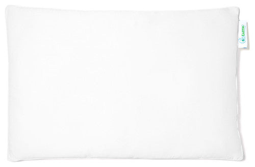 Cozy Earth - Organic Silk Pillow